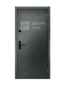 Наружная входная противопожарная дверь ДП-009