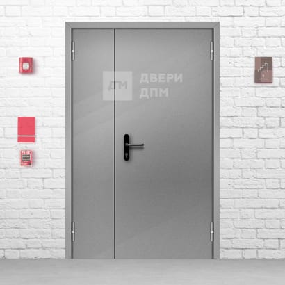 Дверь противопожарная 1000×2100 ДП-488